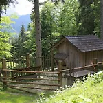萨尔茨卡默古特豪斯旅馆 3* 上特劳恩