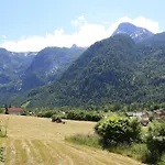 萨尔茨卡默古特豪斯旅馆 3* 上特劳恩