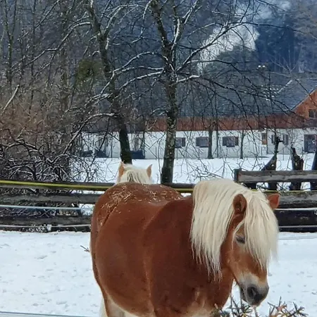Haus Salzkammergut Obertraun