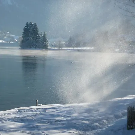 Haus Salzkammergut Bed and breakfast 3*