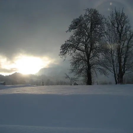 Bed and breakfast Haus Salzkammergut 3*