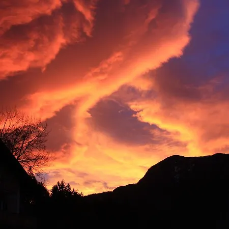 Oda ve Kahvaltı Haus Salzkammergut Obertraun