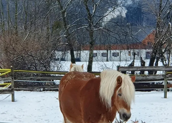 Haus Salzkammergut Obertraun