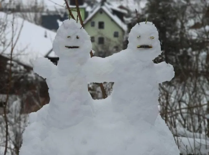 Oda ve Kahvaltı Haus Salzkammergut Obertraun