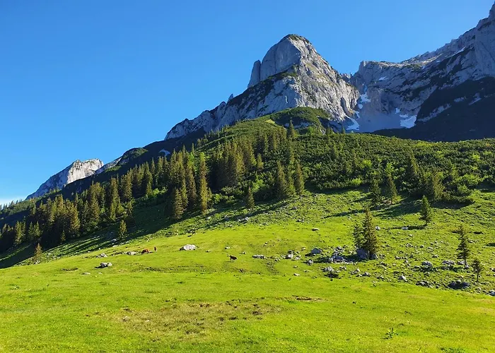 萨尔茨卡默古特豪斯旅馆 上特劳恩