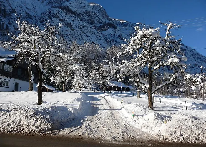 Haus Salzkammergut 3*