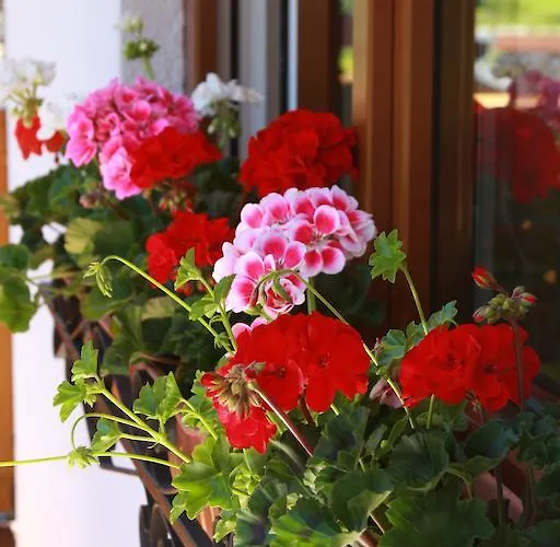 Haus Salzkammergut 3*