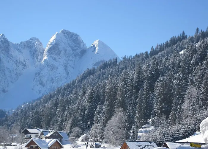 Oda ve Kahvaltı Haus Salzkammergut
