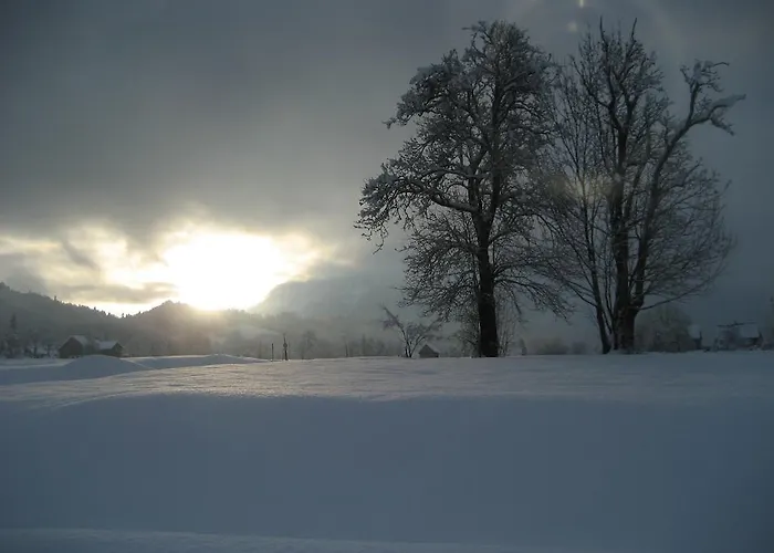 Alojamento de Acomodação e Pequeno-almoço Haus Salzkammergut 3*