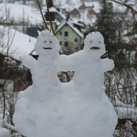 לינה וארוחת בוקר Haus Salzkammergut אוברטראון