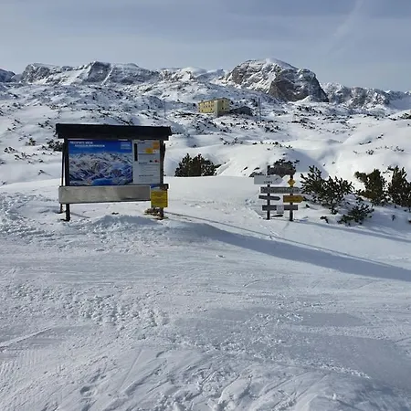 לינה וארוחת בוקר Haus Salzkammergut אוברטראון