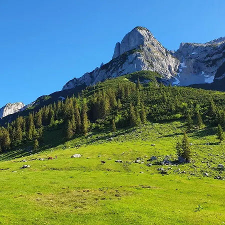 萨尔茨卡默古特豪斯旅馆 上特劳恩