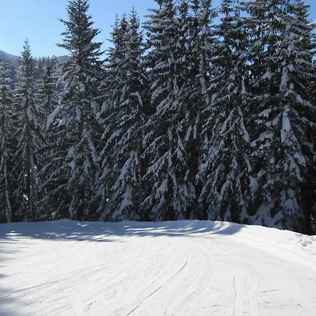 Haus Salzkammergut 3*