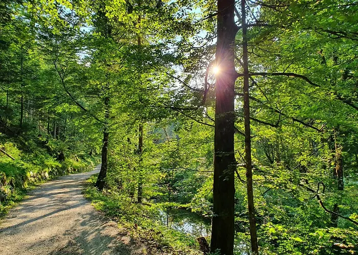 ハウス ザルツカンマーグート 3*